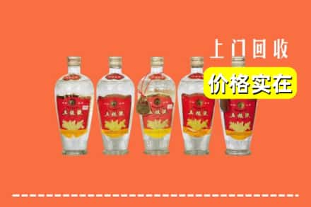 诚信求购:庆阳正宁县高价回收老五粮液
